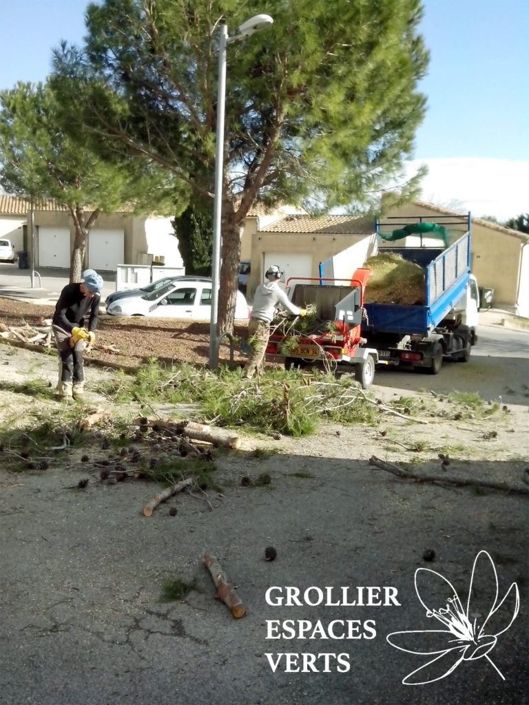 Grollier Espaces Verts - Broyage